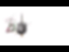 Motor Stepper Hibrida Bipolar NEMA 8 20mm Diameter