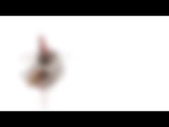 Motor Stepper Magnet Permanen Mini 10mm 5v 2 Phase 18 Derajat